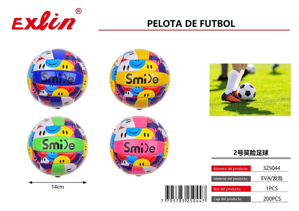 [325044] SOCCER BALL