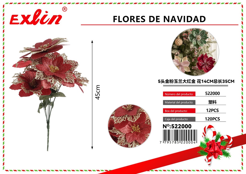FLORES DE NAVIDAD
