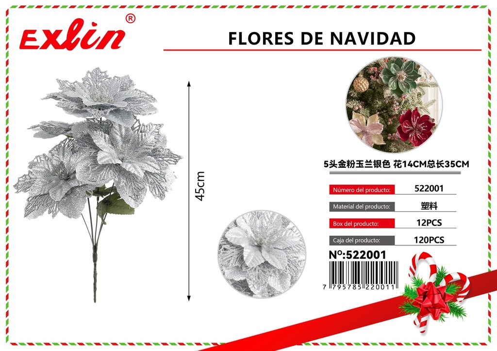 CHRISTMAS FLOWERS