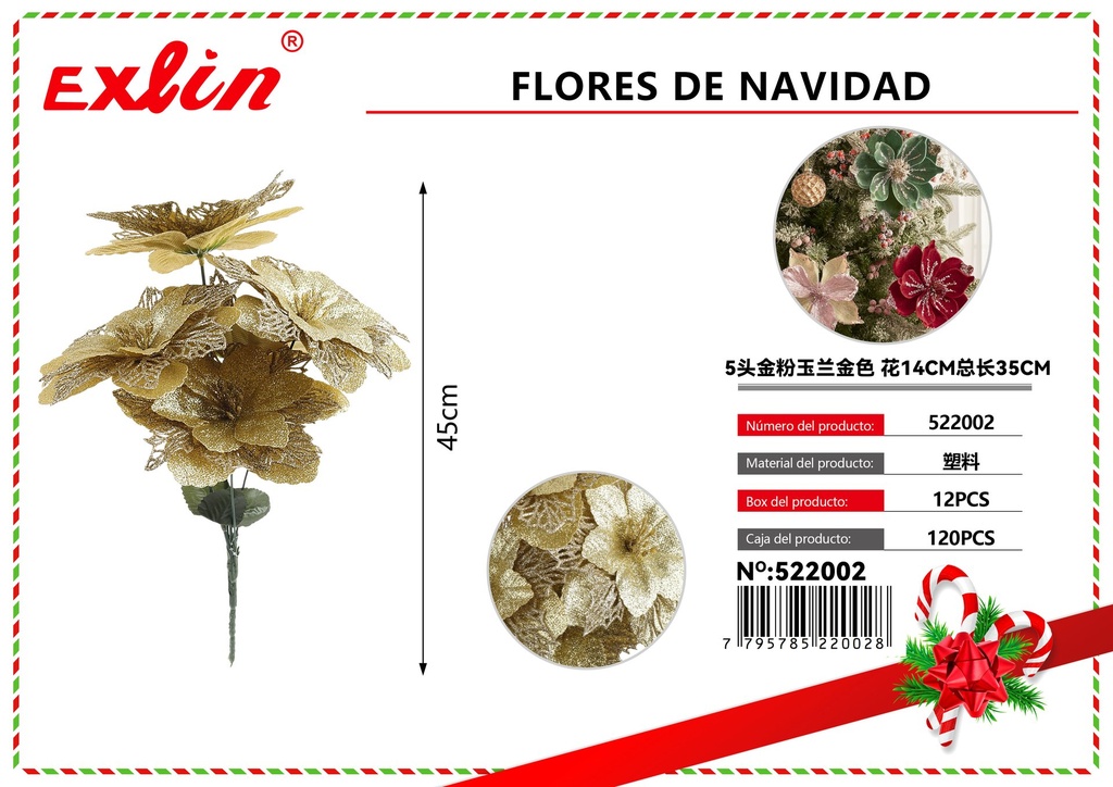FLORES DE NAVIDAD