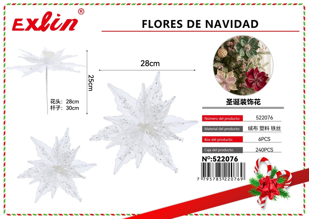 CHRISTMAS FLOWERS