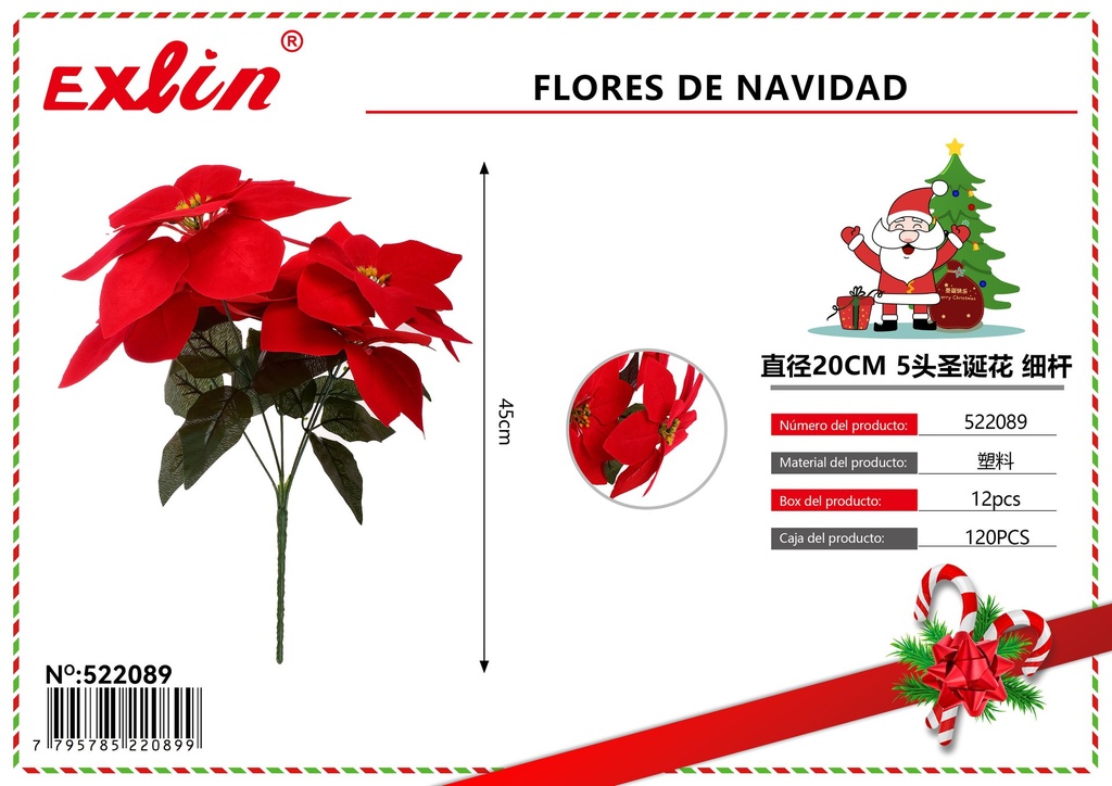 FLORES DE NAVIDAD