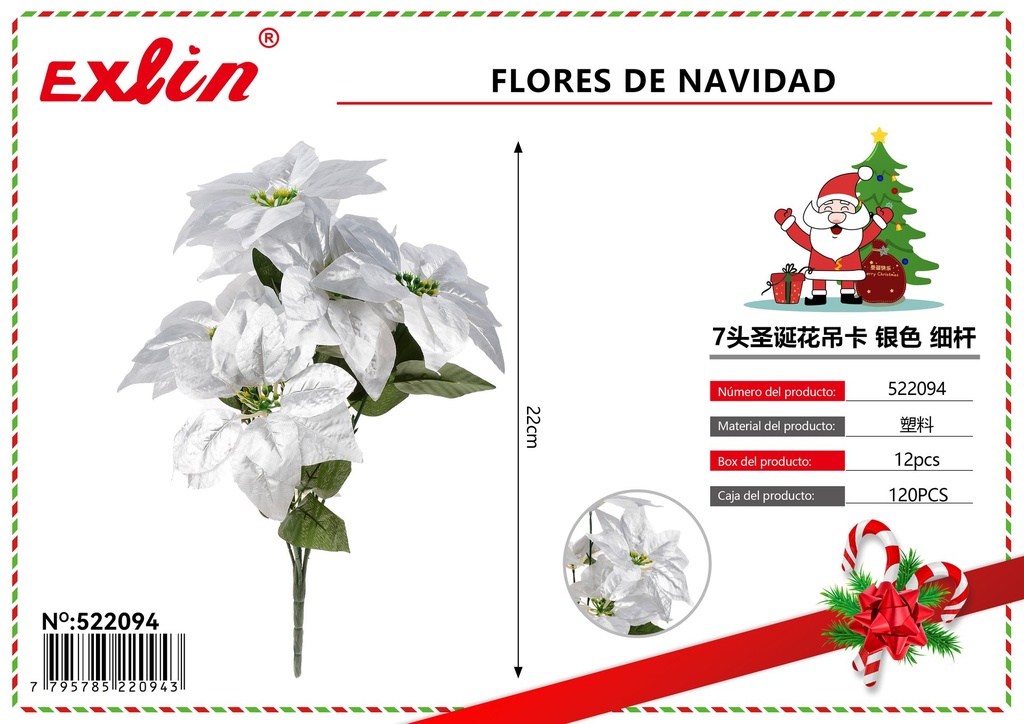 [522094] CHRISTMAS FLOWERS
