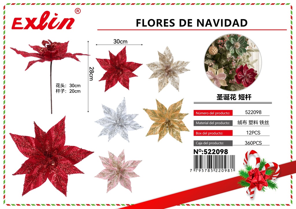 [522098] CHRISTMAS FLOWERS