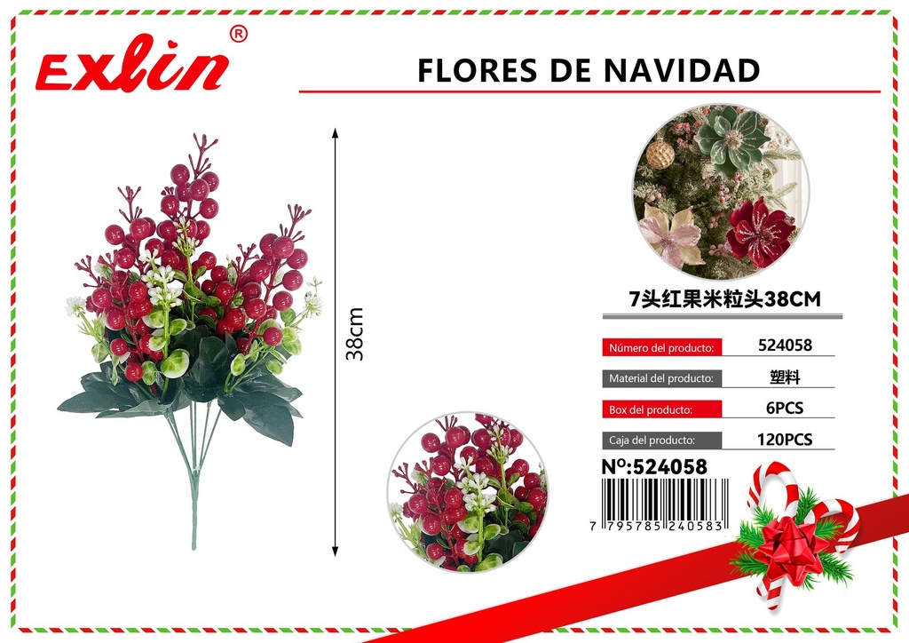 FLORES DE NAVIDAD