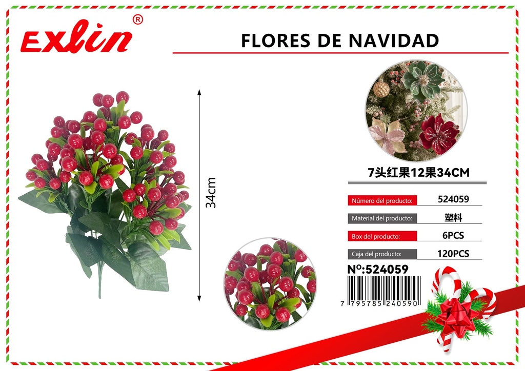 CHRISTMAS FLOWERS
