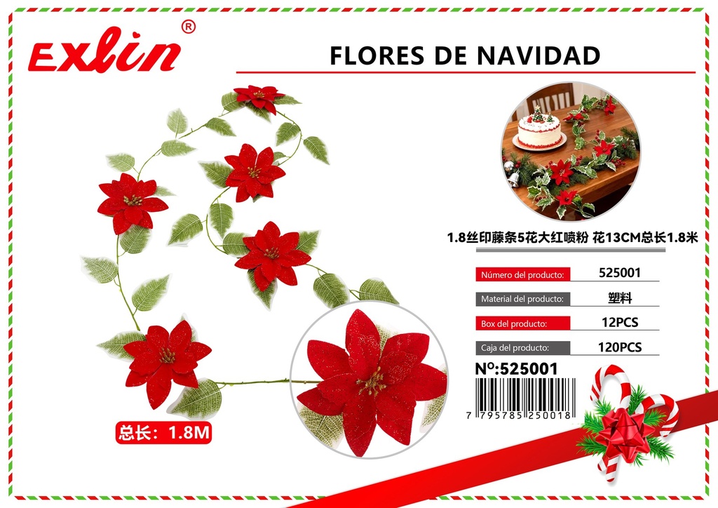 CHRISTMAS FLOWERS