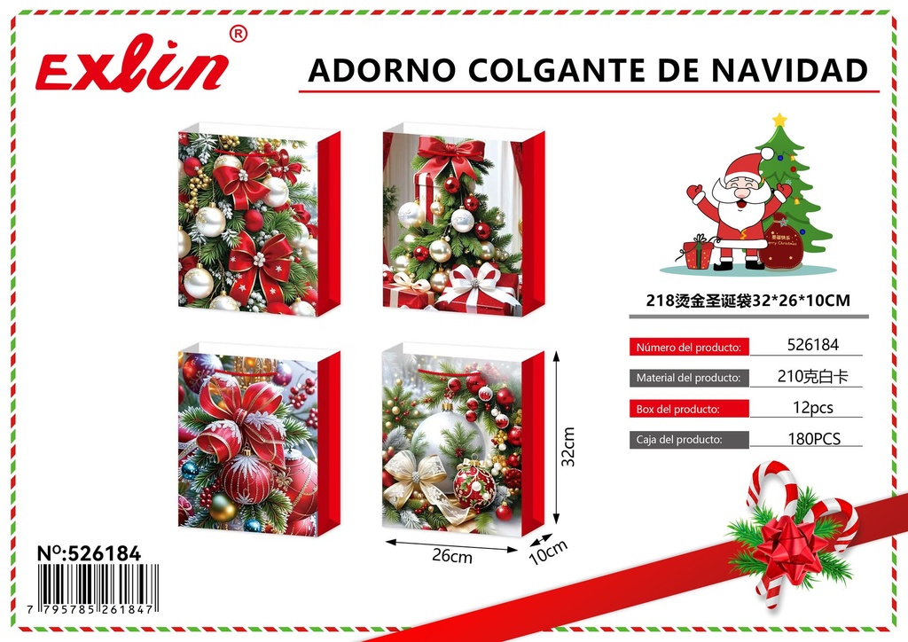 CHRISTMAS GIFT BAG
