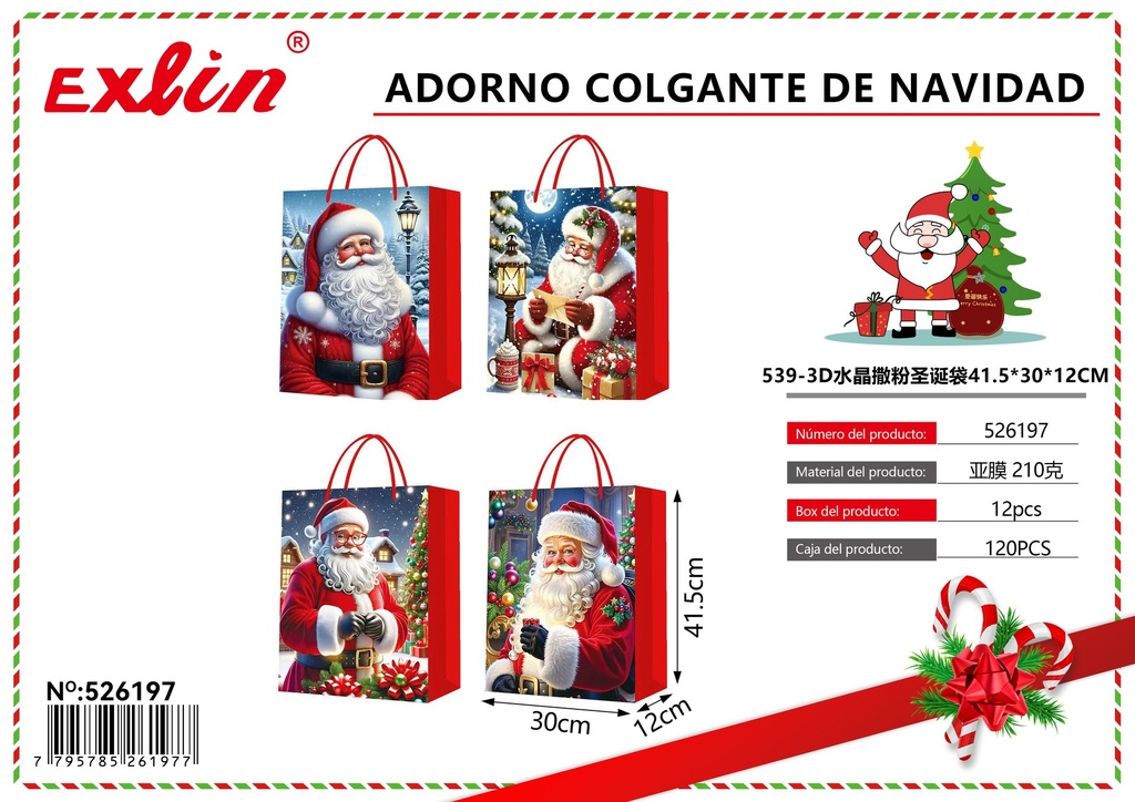 CHRISTMAS GIFT BAG