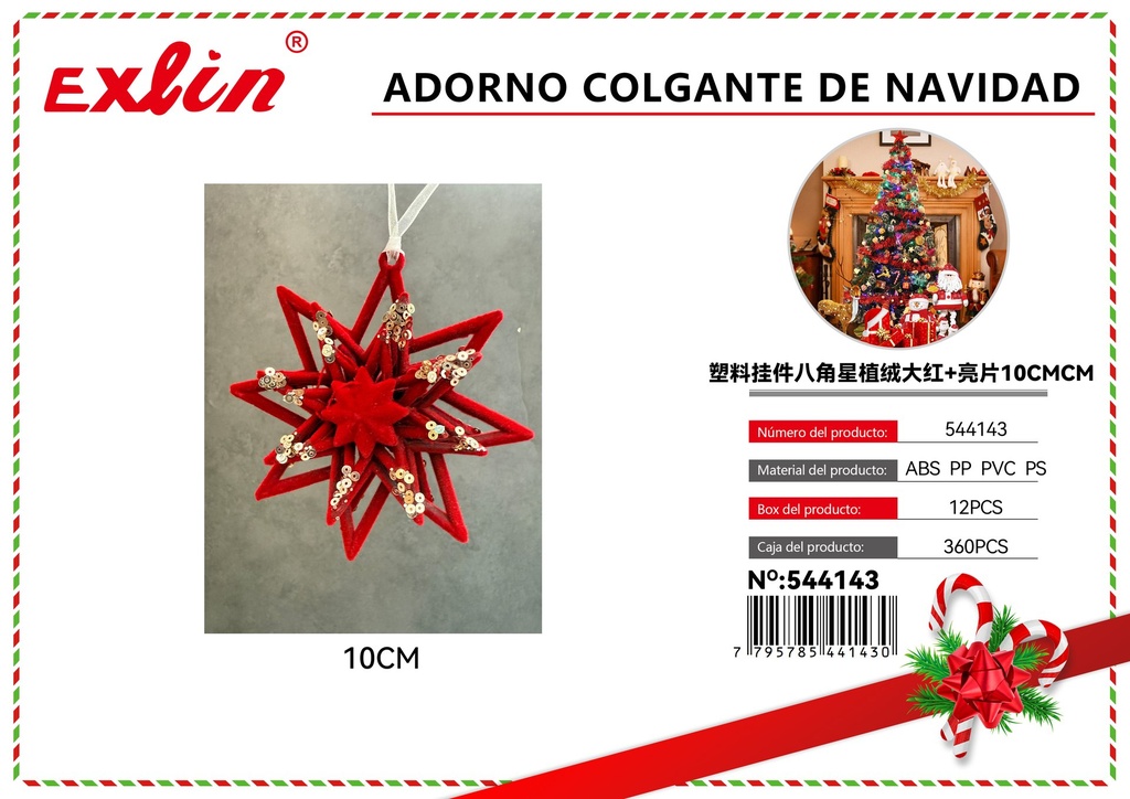CHRISTMAS HANGING ORNAMENT