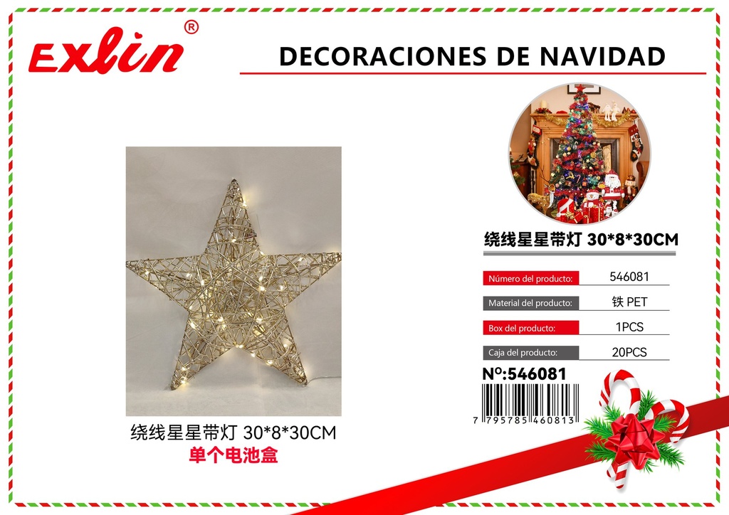 [546081] CHRISTMAS DECORATIONS