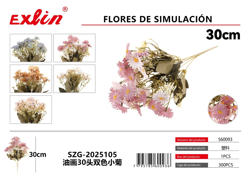 [560093] SZG-2025105油画30头双色小菊