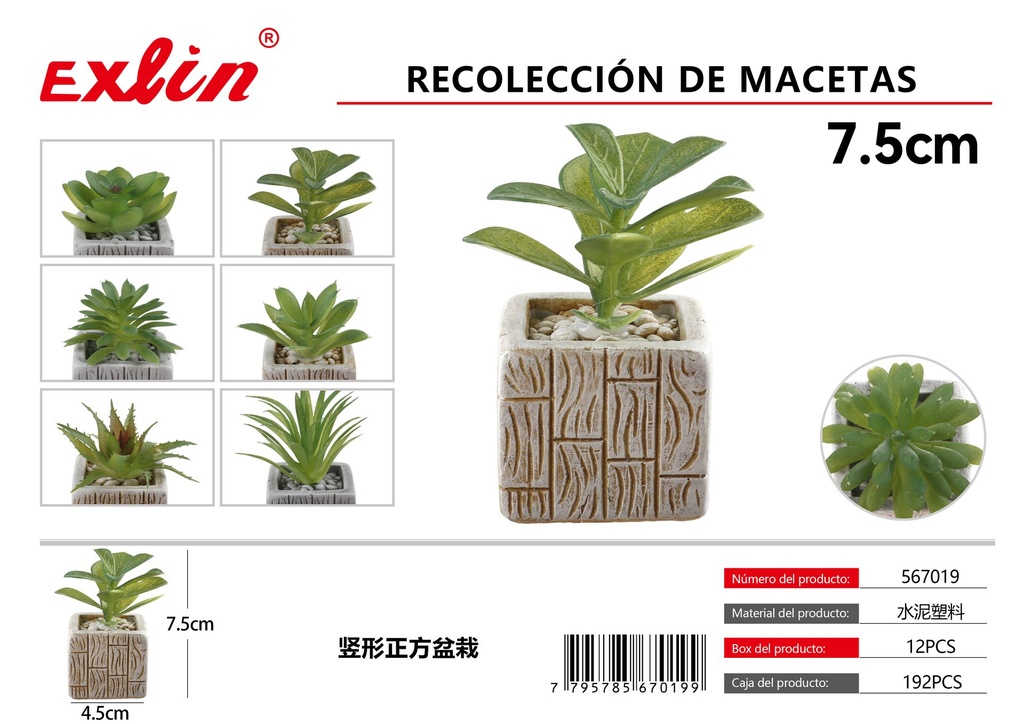 Recolección de macetas