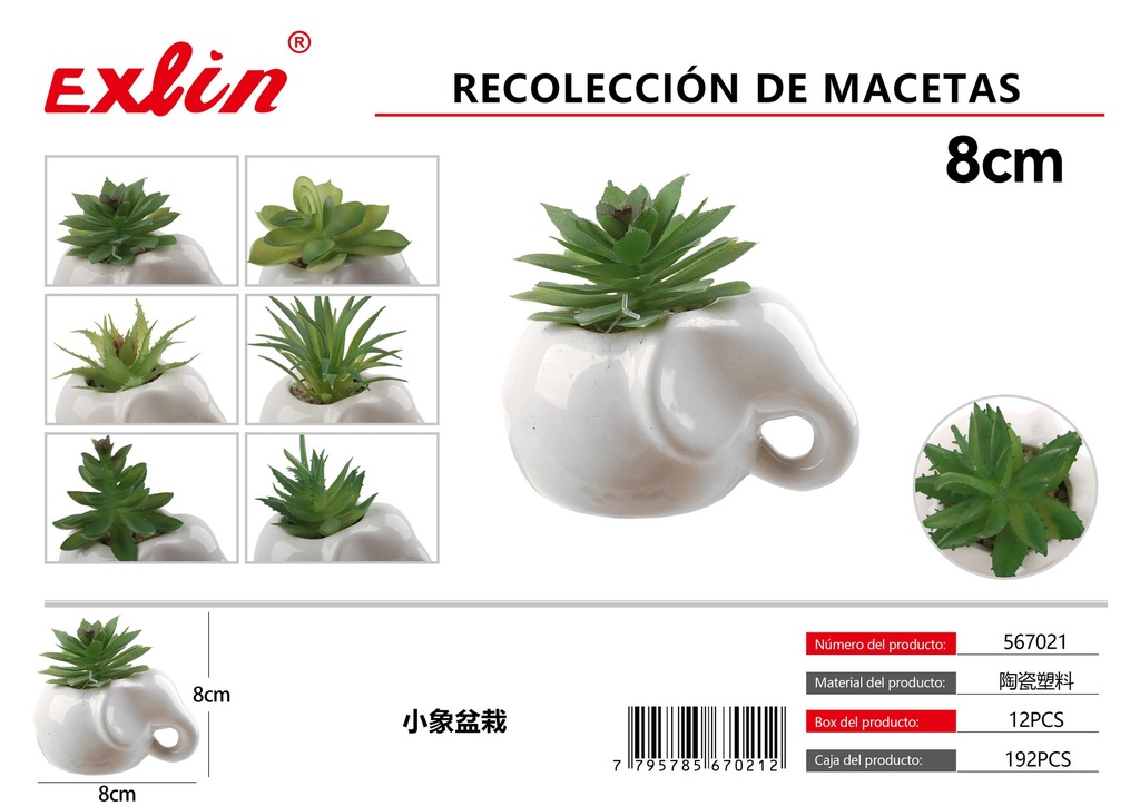 Recolección de macetas