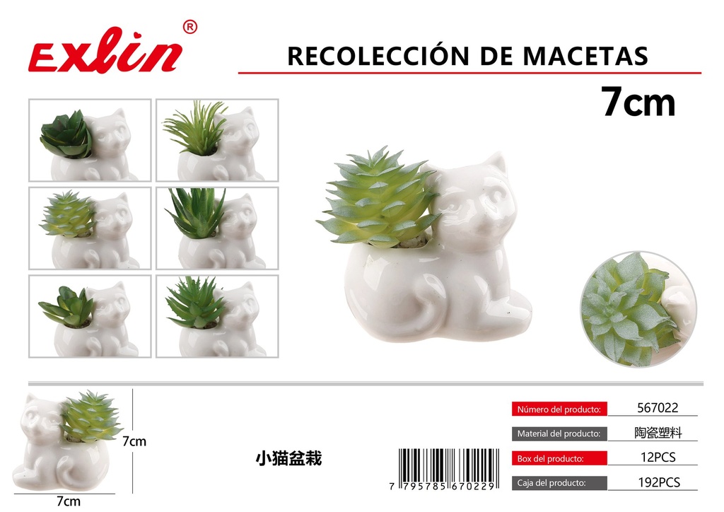 Recolección de macetas