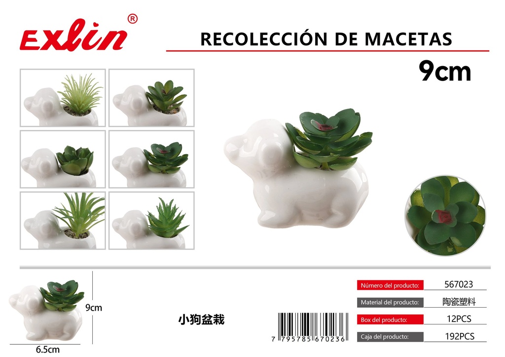 [567023] Recolección de macetas