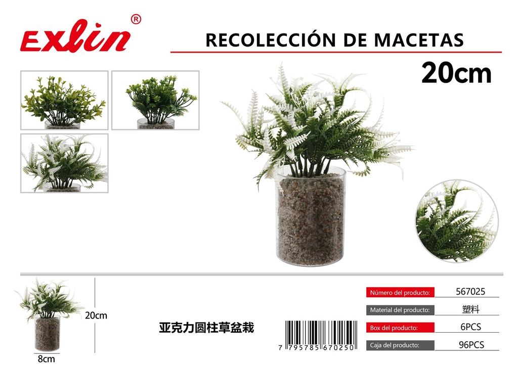 Recolección de macetas