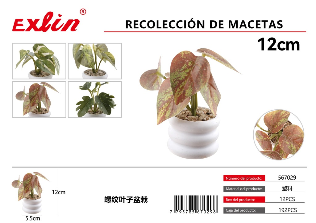 Recolección de macetas