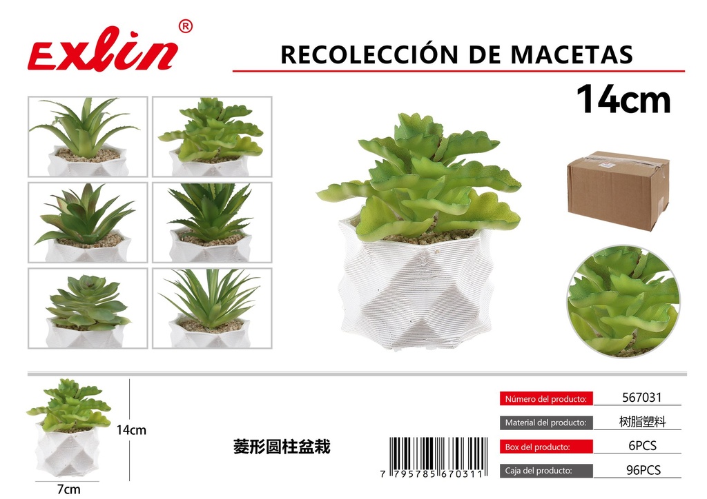 Recolección de macetas