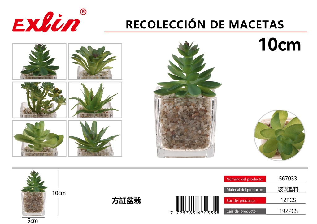 Recolección de macetas