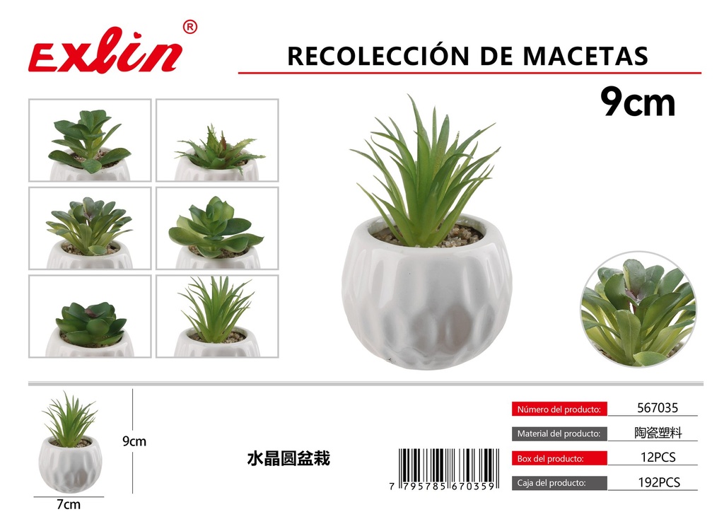Recolección de macetas