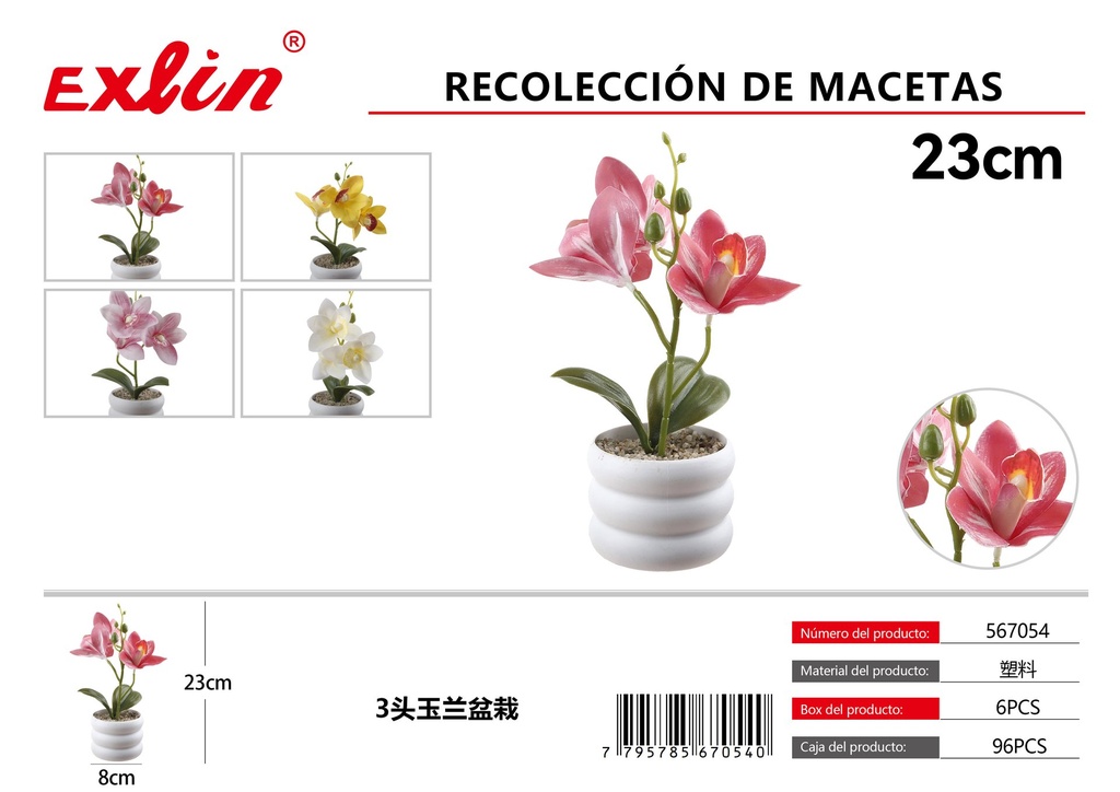 [567054] Recolección de macetas