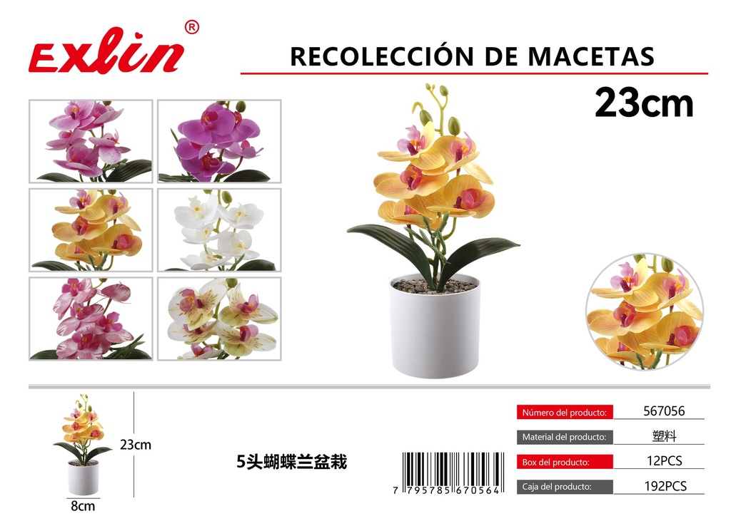 Recolección de macetas