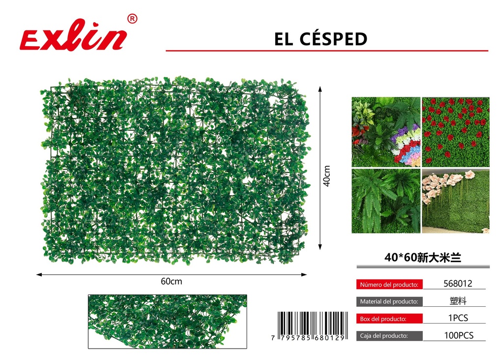 [568012] Lawn