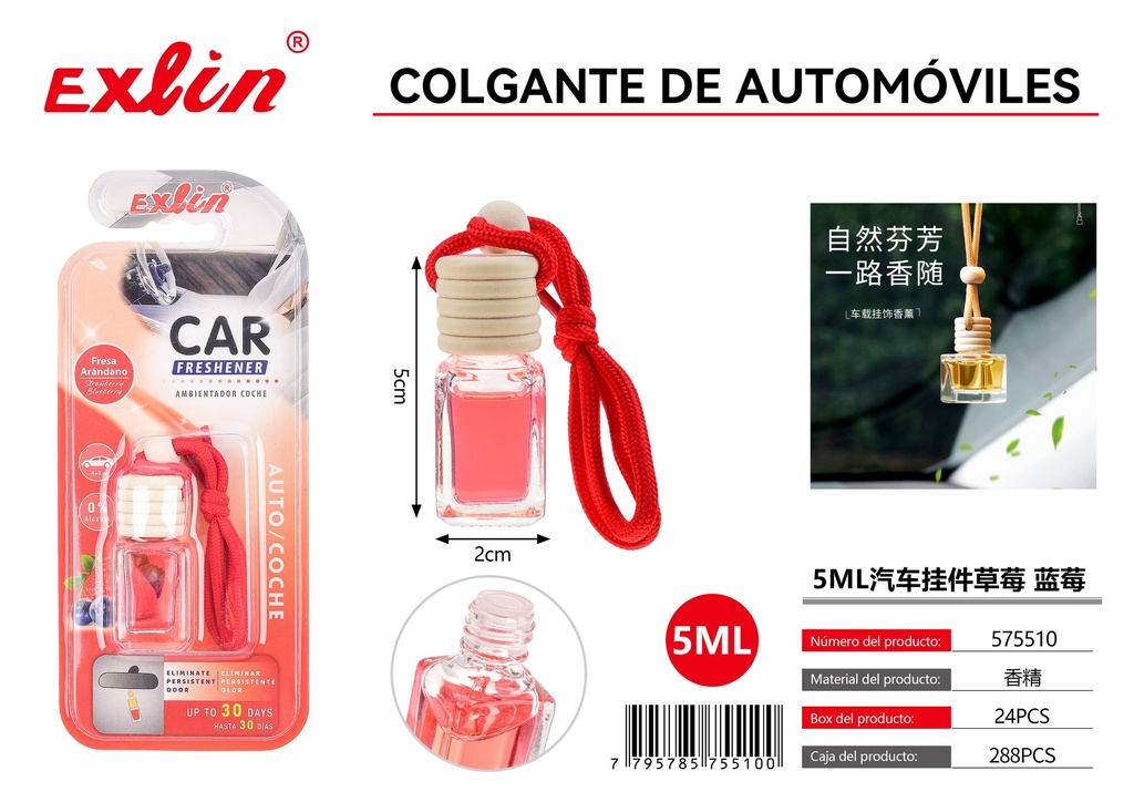 Car Pendant