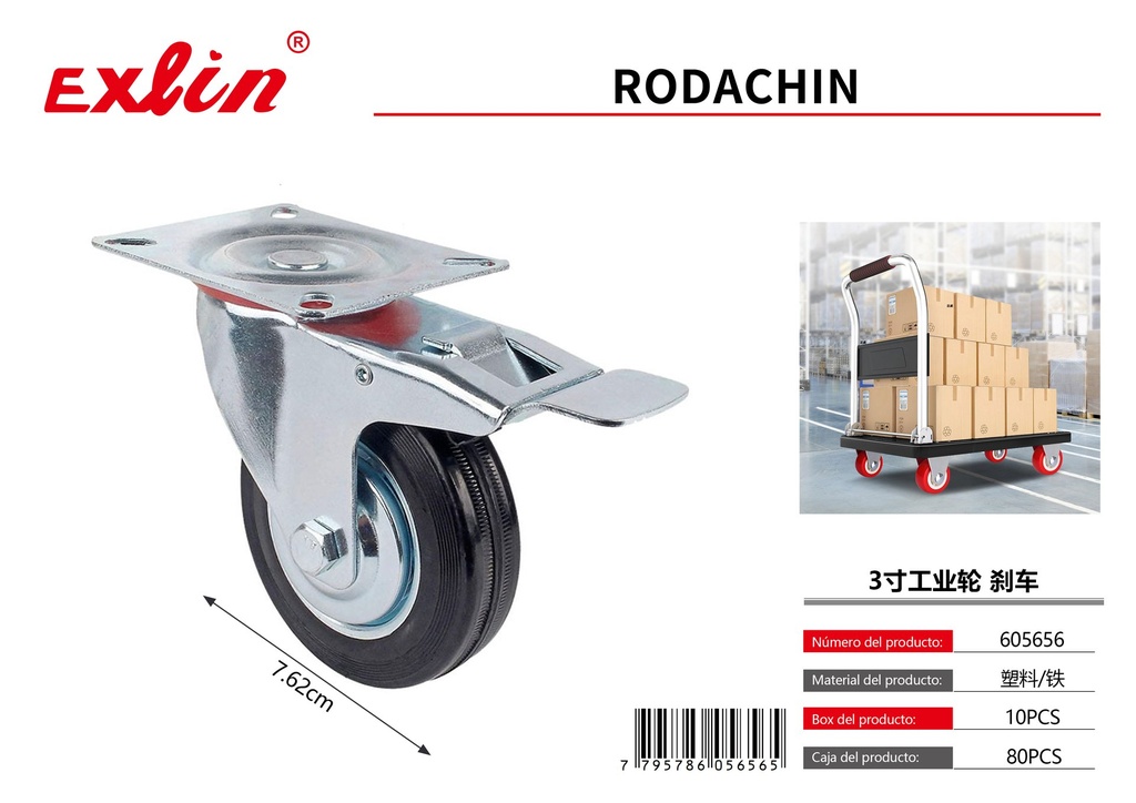[605656] RODACHIN