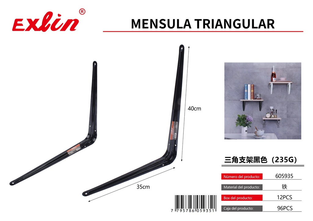 MENSULA TRIANGULAR