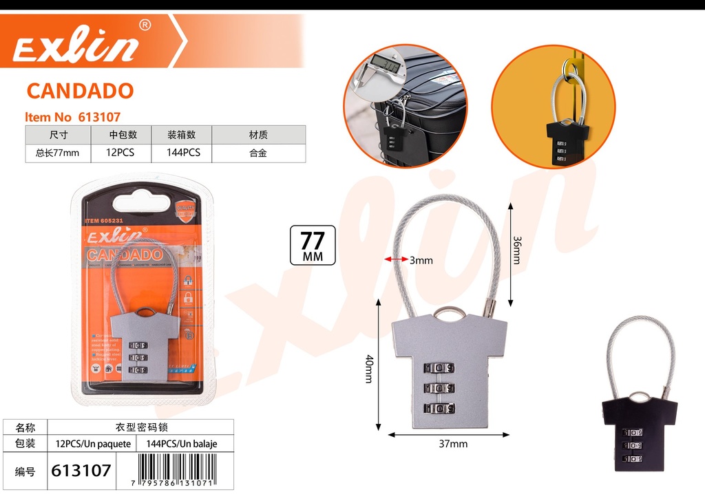 PADLOCK WITH PASSWORD
