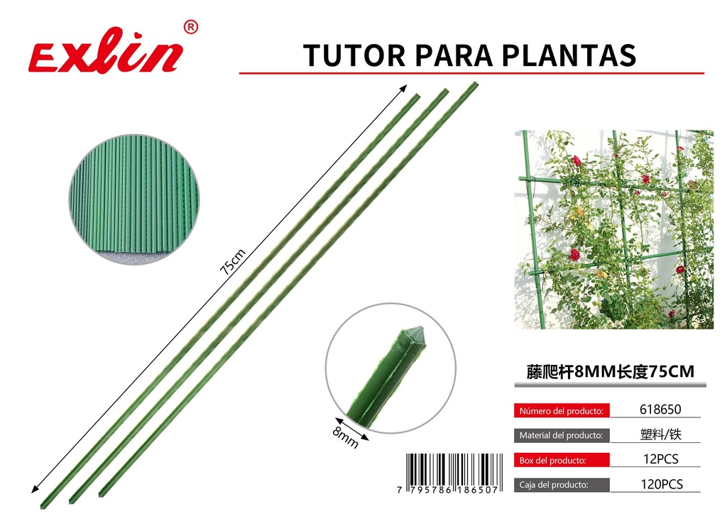 [618650] PLANT TUTOR